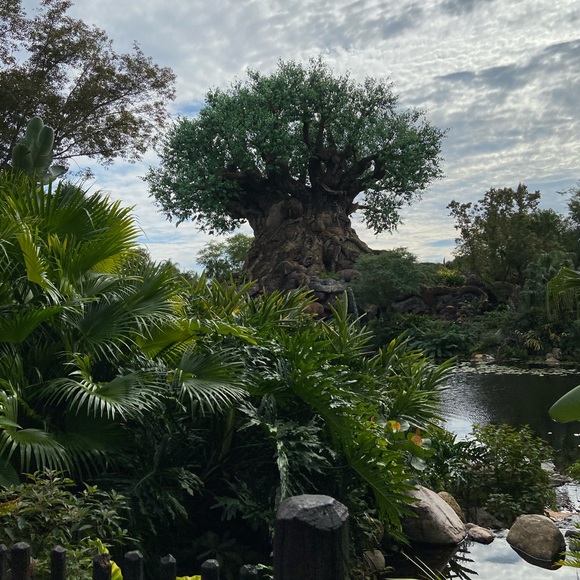 WELCOME WELCOME! - Picture 4 of 9